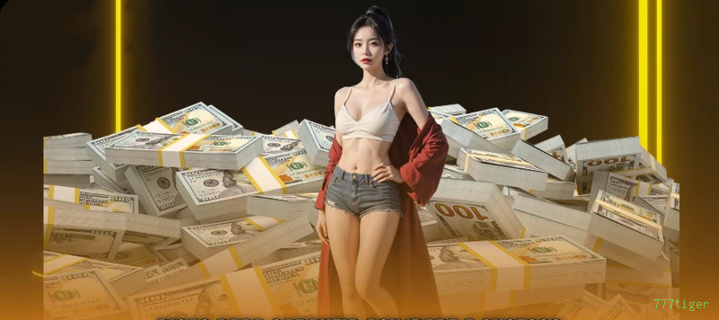 Termos e Condições